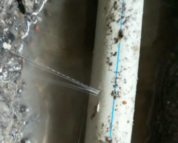 临西卫生间测漏水多少钱